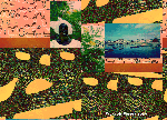 AYIMPEN 3 copie.gif